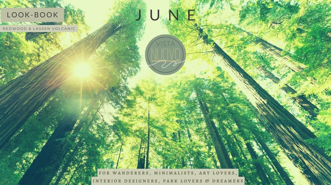 The Making of a Look Book