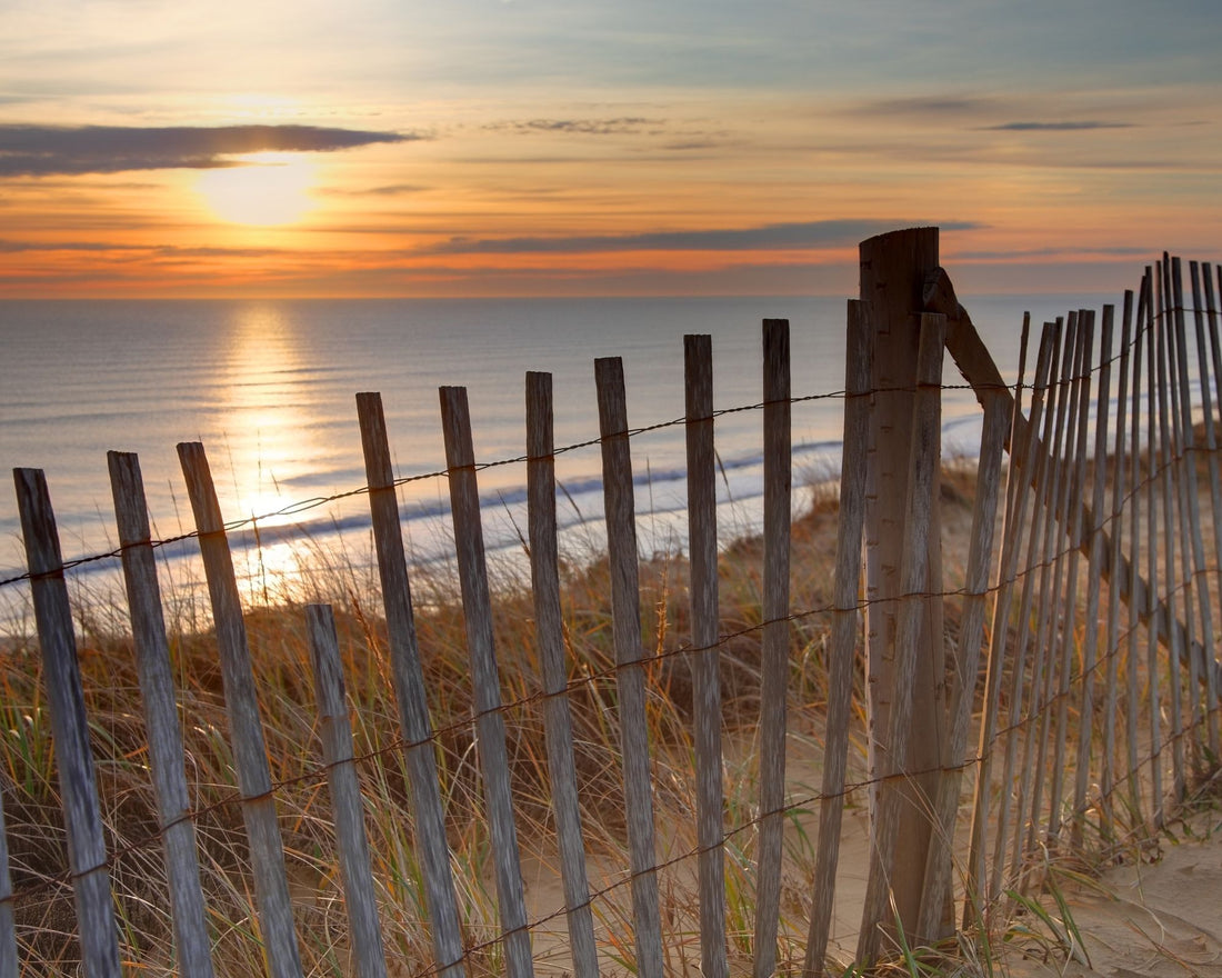 Cape Cod National Seashore Photo of Sand Dunes and Shoreline.