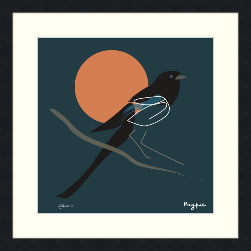 Black-Billed Magpie