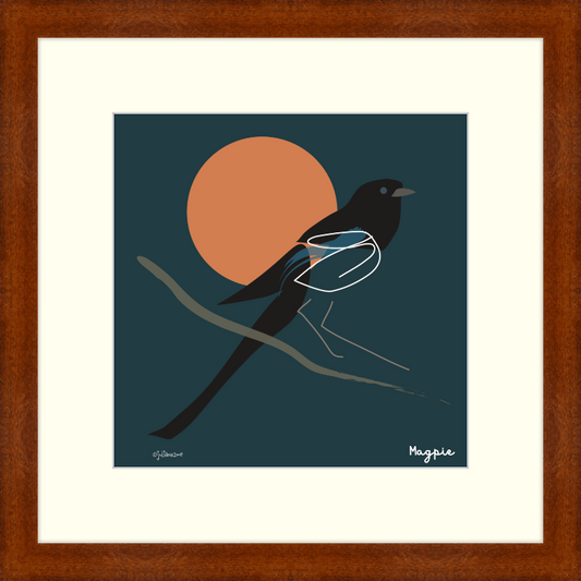 Black-Billed Magpie