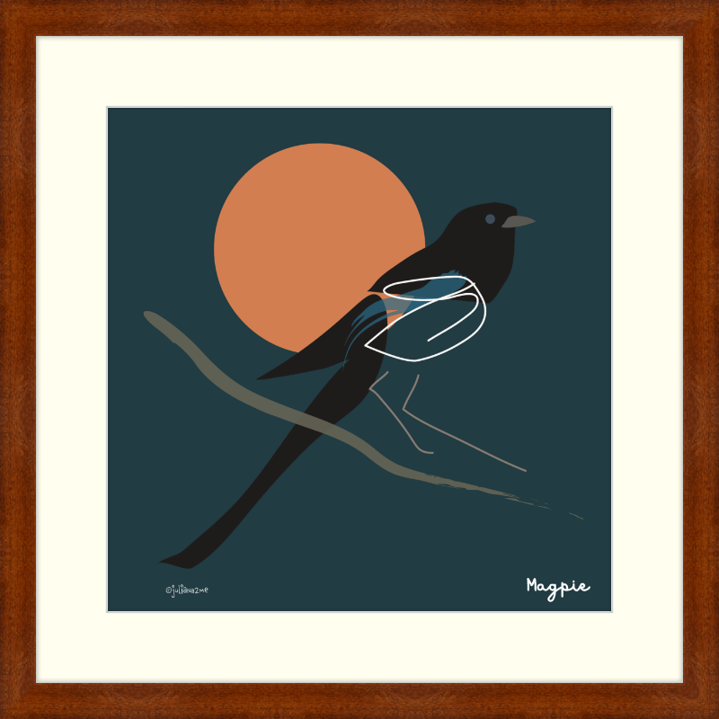 Black-Billed Magpie