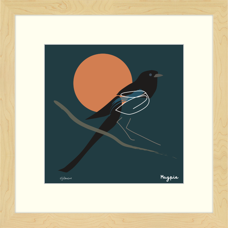 Black-Billed Magpie