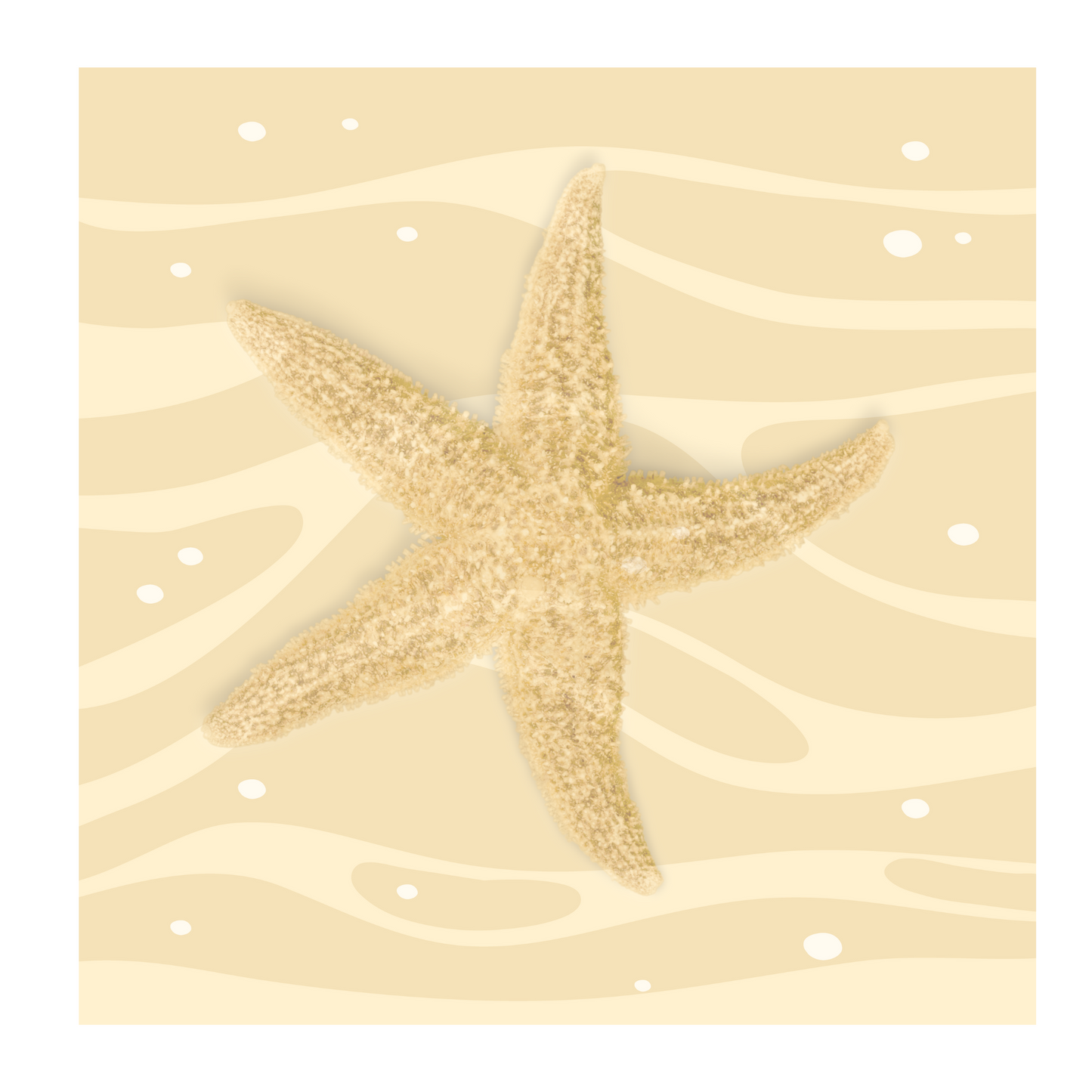 Image Enhancement & Frame Consultation by Juliana Vista Nuovo Fine Art Prints by Juliana2me