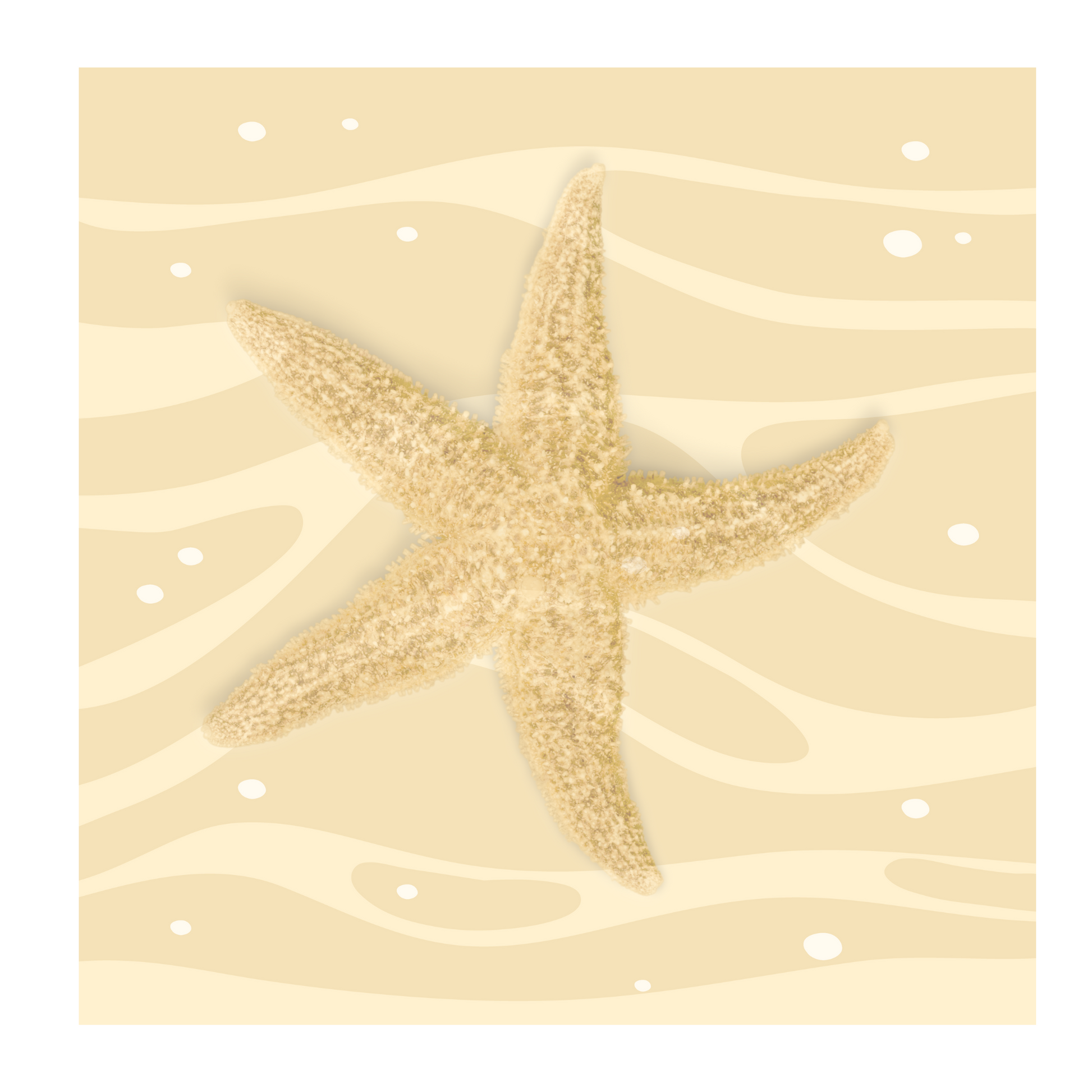 Vista Nuovo Fine Art Prints by Juliana2me