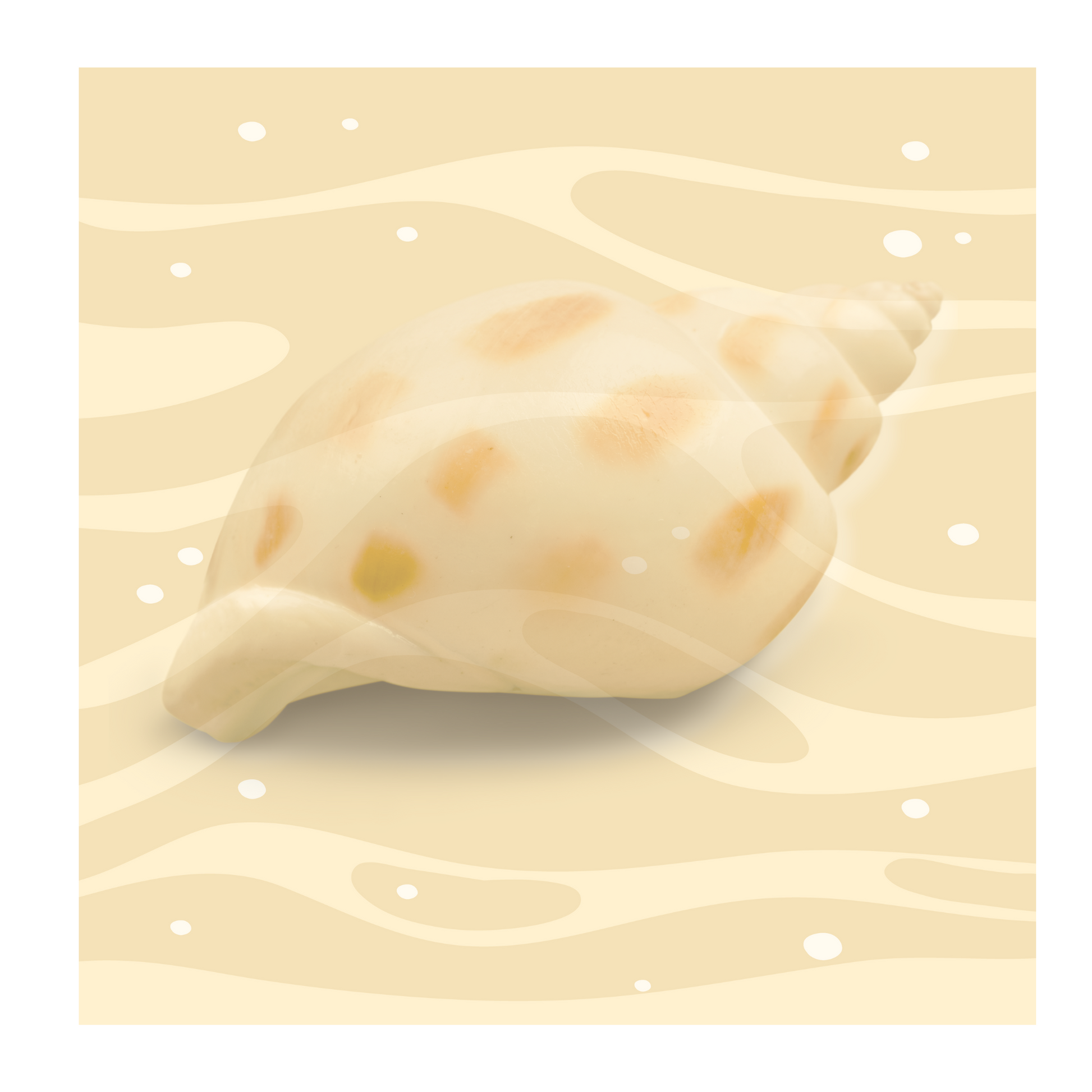 Vista Nuovo Fine Art Prints by Juliana2me