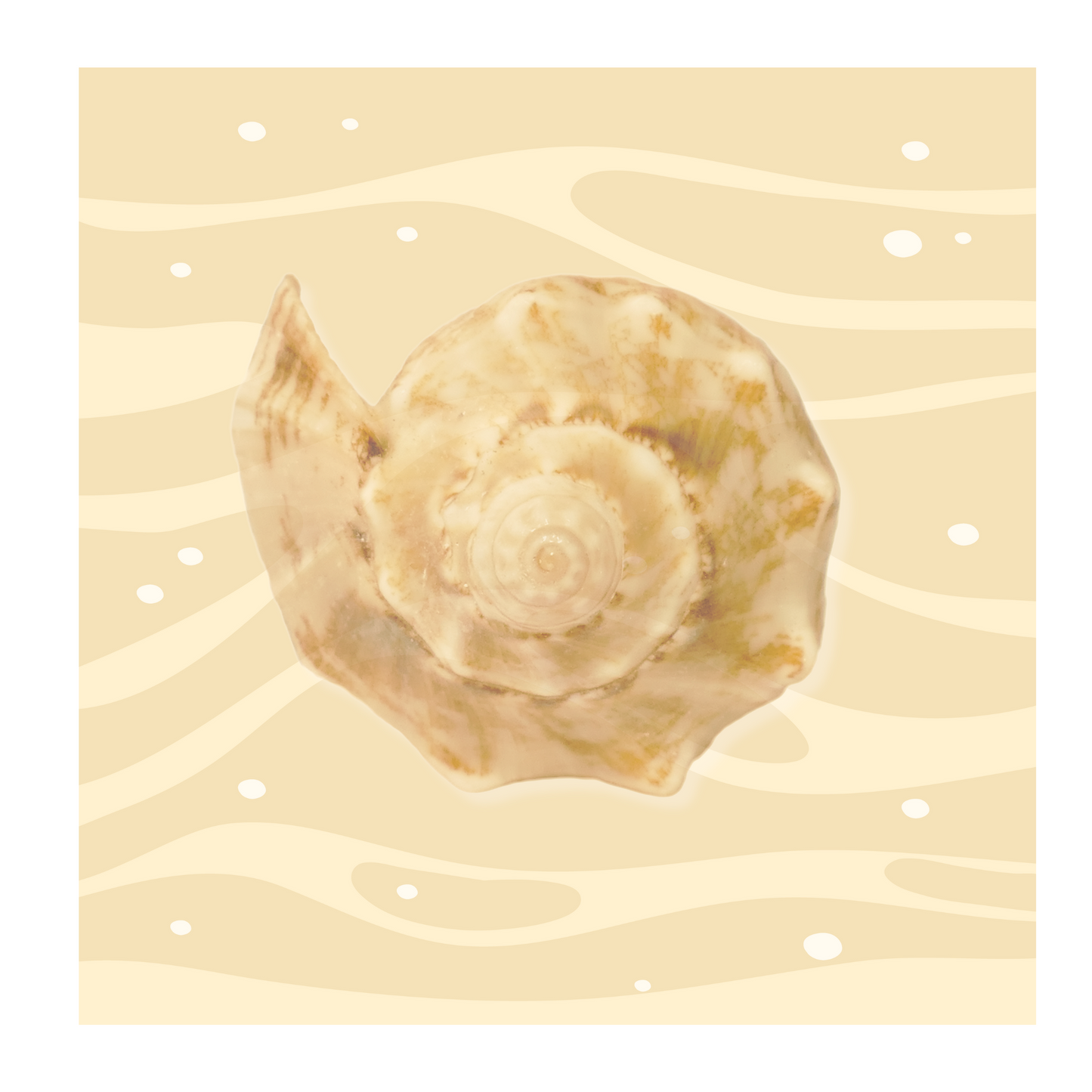 Image Enhancement & Frame Consultation by Juliana Vista Nuovo Fine Art Prints by Juliana2me