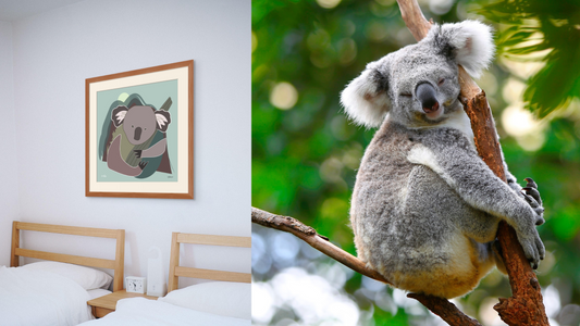 Why Everyones Loves Koalas