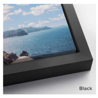 Floating Framed Canvas Print