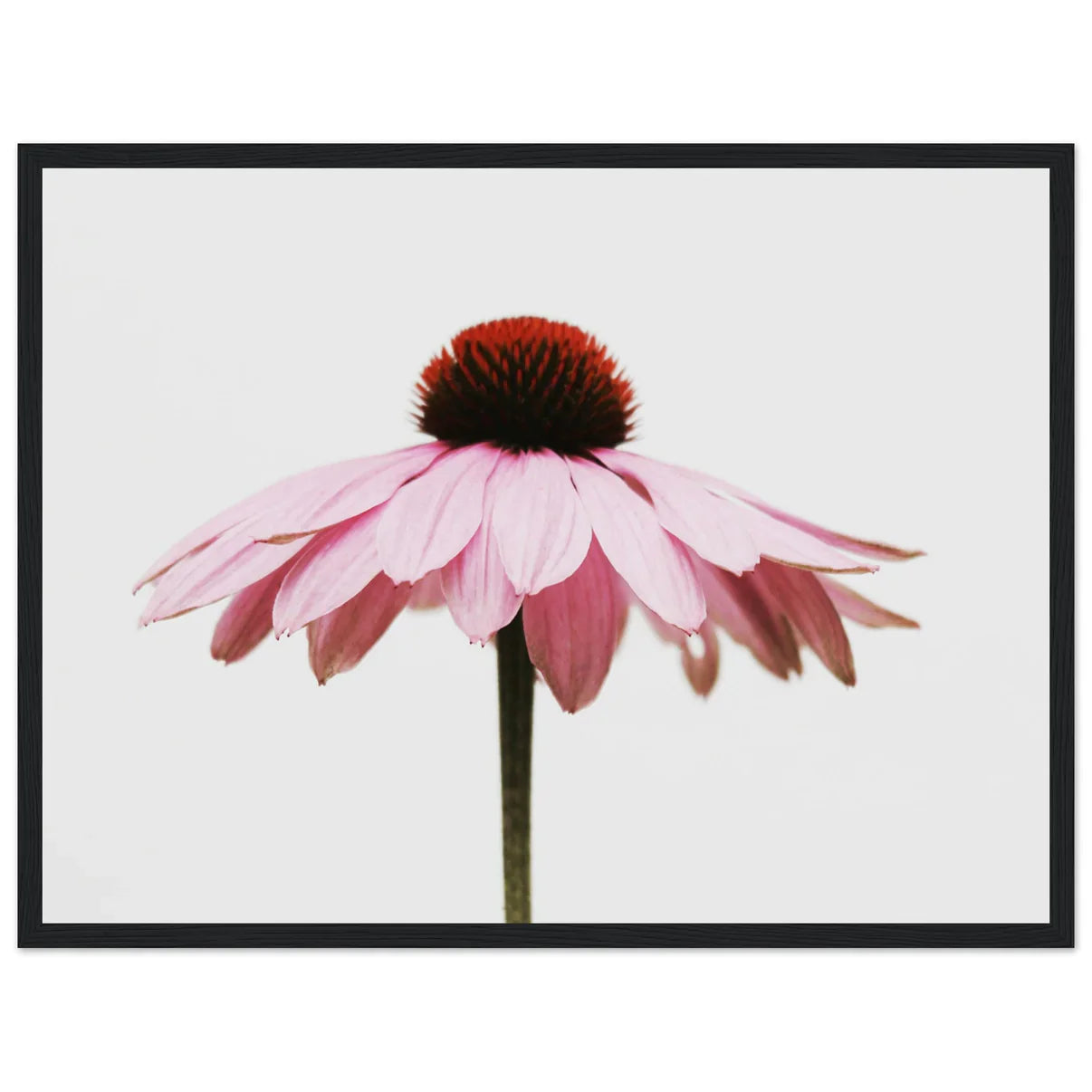 Framed Canvas Print Vista Nuovo Fine Art Prints by Juliana2me